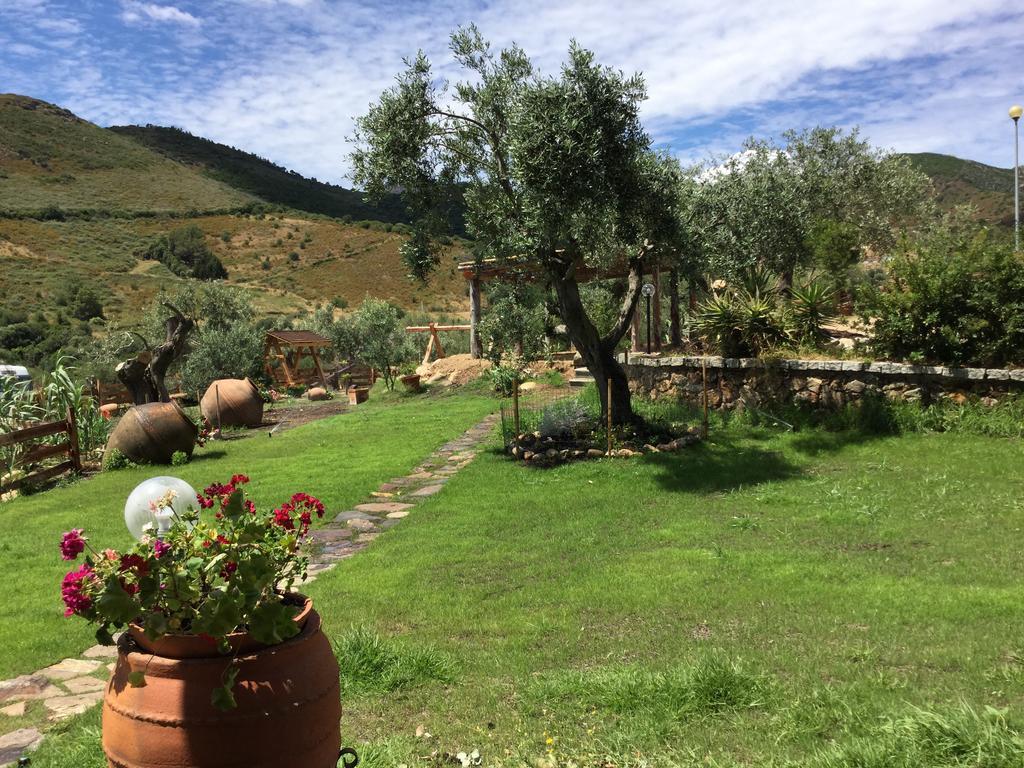 サン・テオドーロ Il Giardino Di Daniela Bed & Breakfast エクステリア 写真