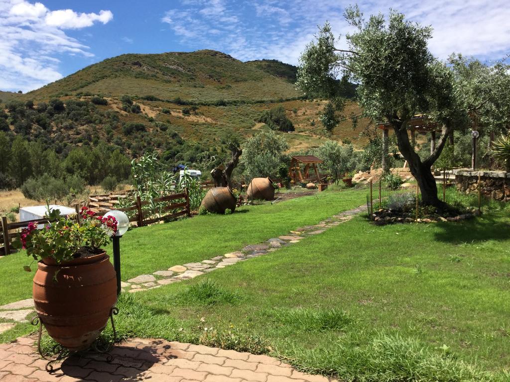 サン・テオドーロ Il Giardino Di Daniela Bed & Breakfast エクステリア 写真